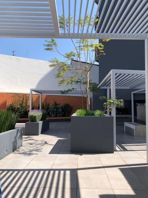 Be Central Departamento Con Alberca En El Centro De Guadalaja 과달라하라 외부 사진