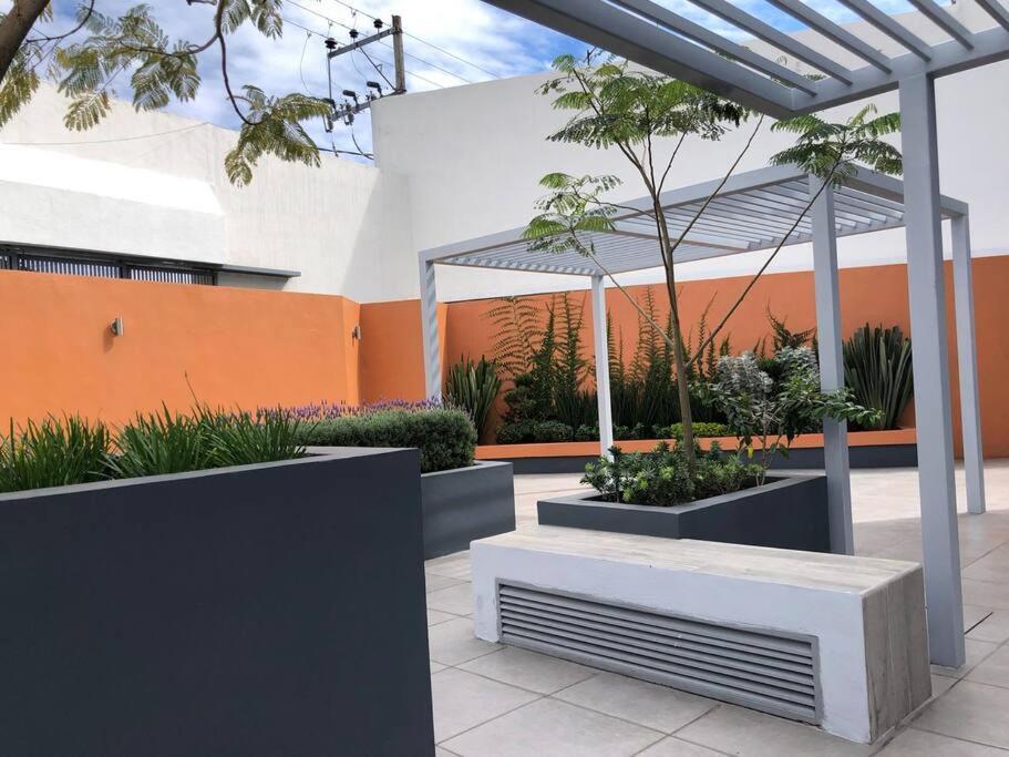Be Central Departamento Con Alberca En El Centro De Guadalaja 과달라하라 외부 사진